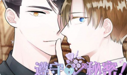 abo 漫画,基因与命运的交织